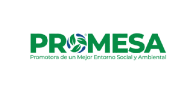 Promesa Promesa