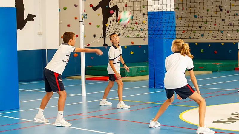 Voley